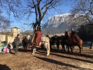 A Discovery of Witches Tournage 